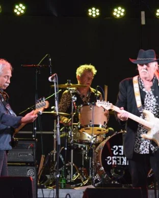 Large Mouth Brass Band