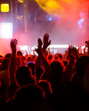 Bearly Dead - Grateful Dead Tribute