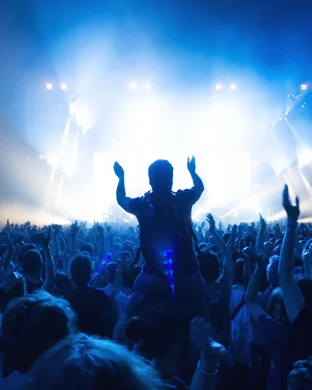 The Funeral Portrait