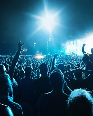 Pigeons Playing Ping Pong Columbus