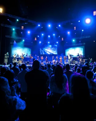 The Brokes - The Strokes Experience