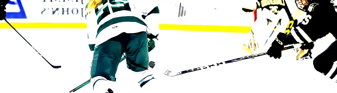 Bemidji State Beavers Women's Hockey