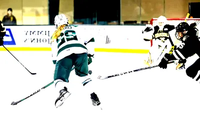 Bemidji State Beavers Women's Hockey