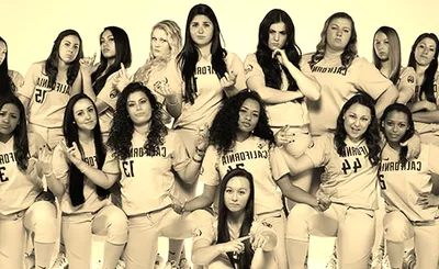 California Golden Bears Softball
