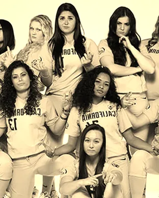 California Golden Bears Softball