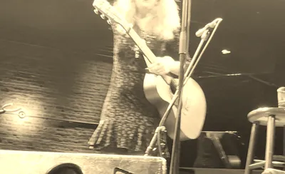 Dar Williams