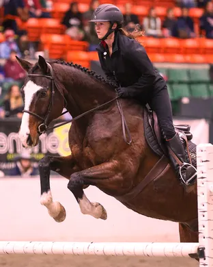 Equine Affaire Columbus