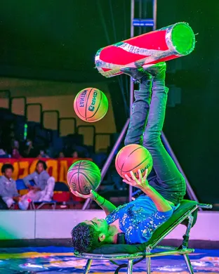 Garden Bros Nuclear Circus: Fun Factory