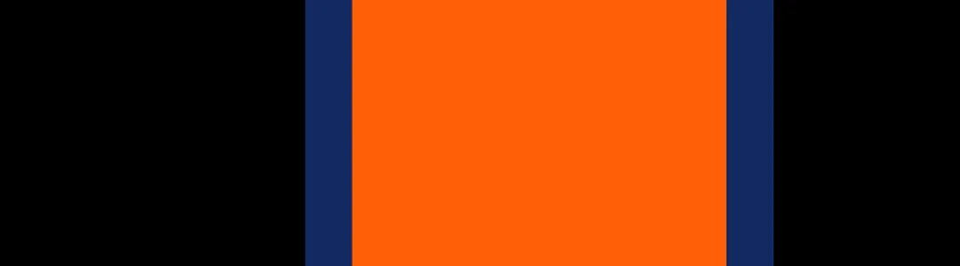 Illinois Fighting Illini