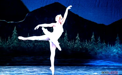 Les Ballets Trockadero De Monte Carlo