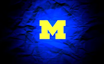 Michigan Wolverines