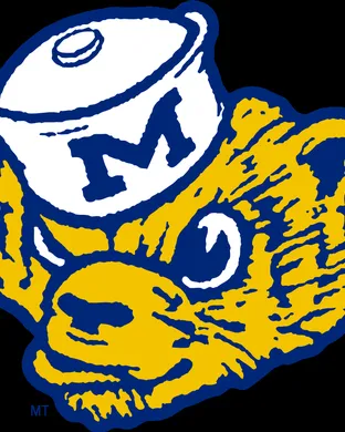 Michigan Wolverines vs. Ohio State Buckeyes