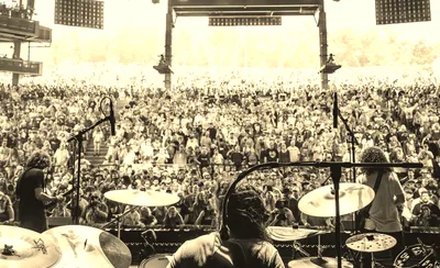 Pigeons Playing Ping Pong