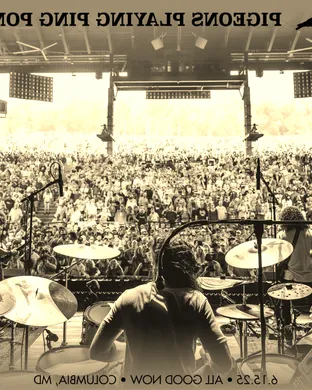 Pigeons Playing Ping Pong