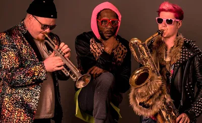 Too Many Zooz