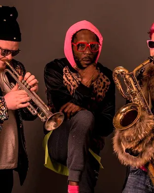 Too Many Zooz
