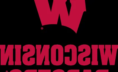 Wisconsin Badgers