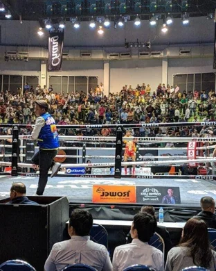 Little Mania Midget Wrestling