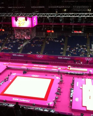 Ohio State Buckeyes Women's Gymnastics vs. Illinois Fighting Illini Women's Gymnastics