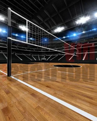 Ohio State Buckeyes Women's Volleyball