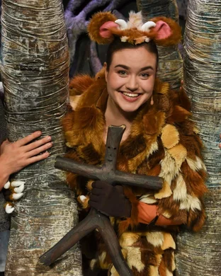 Disney On Ice: Mickey's Search Party